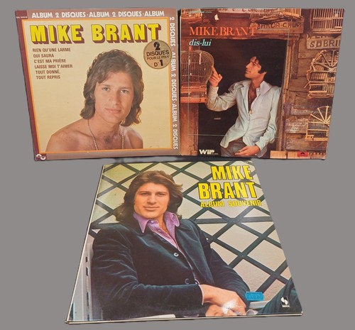 Lot disques vinyles 33t - de,