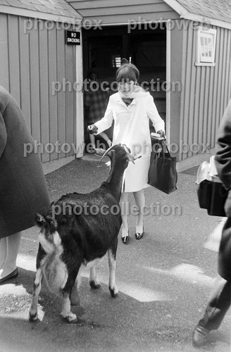 Mireille mathieu exclusive - mathieu,