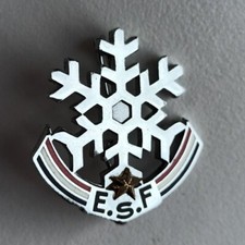 Médaille insigne flocon - médaille,