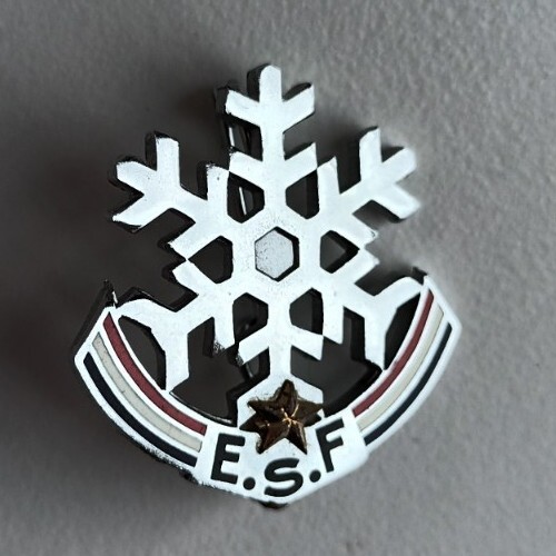 Médaille insigne flocon 1 - ,