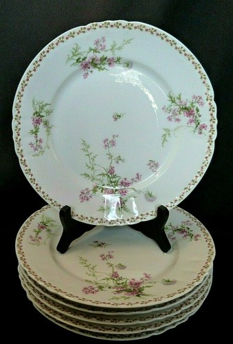 Assiettes plates en - 6,