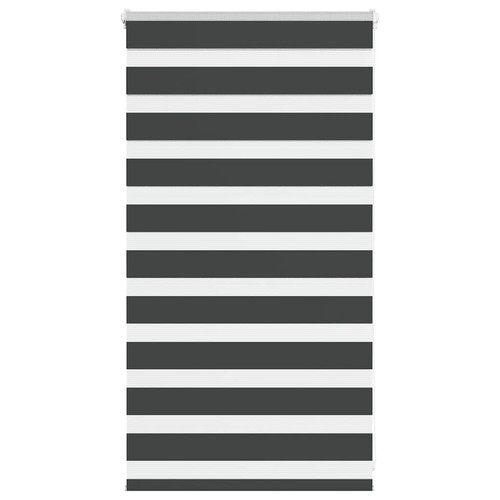 Store zèbre gris clair