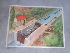 Affiche SCOLAIRE Rossignol