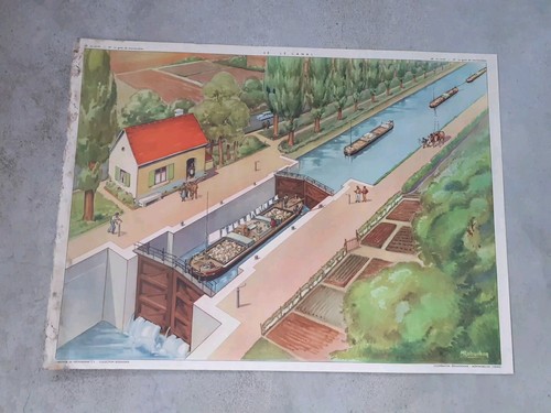 Affiche scolaire rossignol - scolaire,