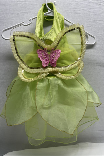 Peter pan tinkerbell disney - tinkerbell,