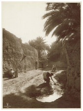 Lehnert & Landrock, Tunisie