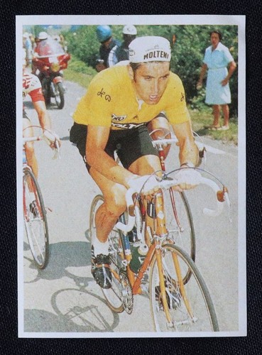 Eddy merckx poulain - merckx, série
