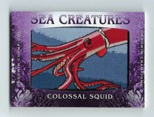 2020 GOODWIN CHAMPIONS SEA CREATURES COLOSSAL SQUID #SC-45 1:2819 HOBBY PACKS