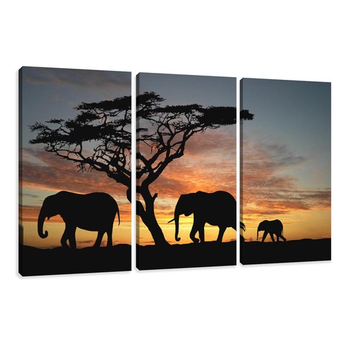Images sur toile 160 cm - sur, x