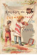 CHROMO #MK40924 AMIDON HOFFMANN PEINTURE SUR TOILE CHAT