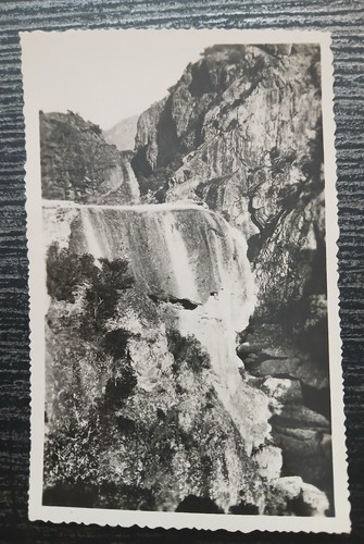 Inseca corse du sud - ,