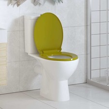 Siège de Toilette à