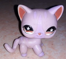 Petshop chat europeen 933