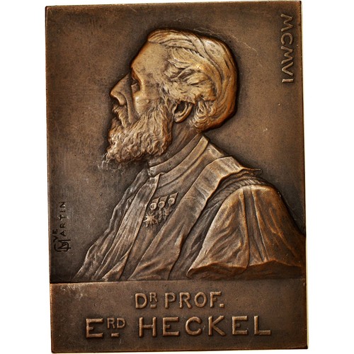 France médaille professeur - france,, médaille,