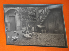 Photo Enfant Fille et Poules