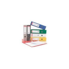 48075 Esselte Classeur à