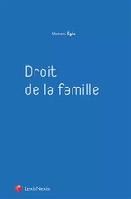 Droit de la famille, vincent