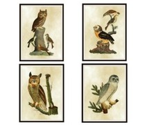 Set of 4 Vintage Botanical Art