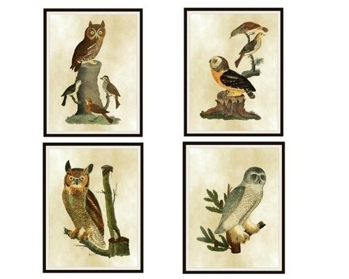 Set vintage botanical art - set,
