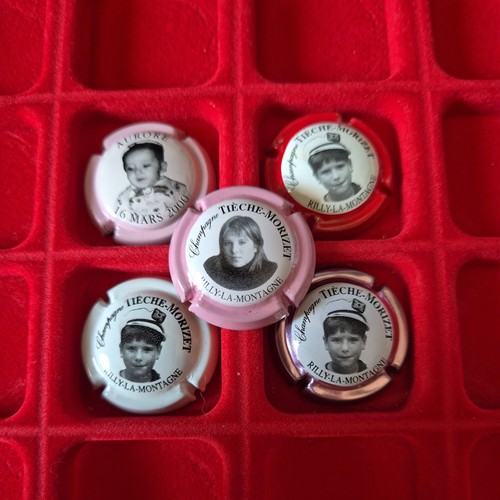 Capsule champagne thieche - capsule,
