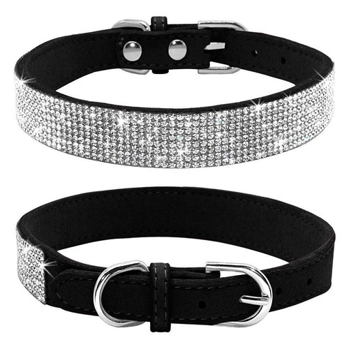 Collier pour chien - collier,