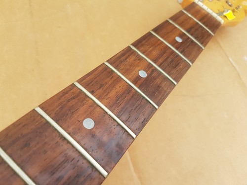 1981 fender bullet - fender,