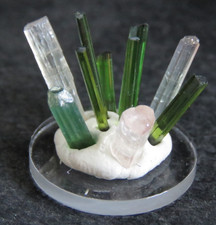 Cristaux de tourmaline / Pakistan