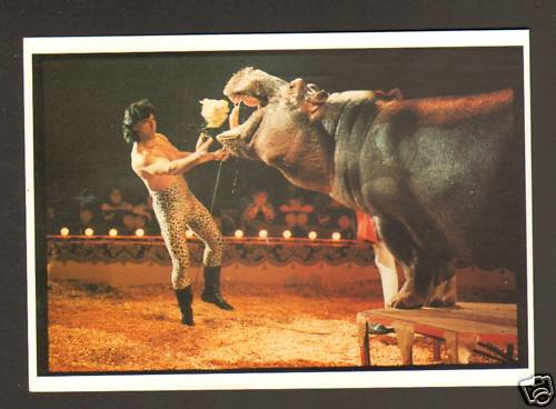 Cirque hippopotame dressé - cirque,