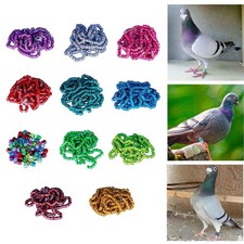 Bandes de pied de colombe, 100