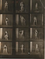 PHOTO PRINT Film Contact Board