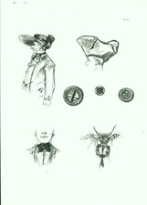 Gravure ancienne Alsace 1970