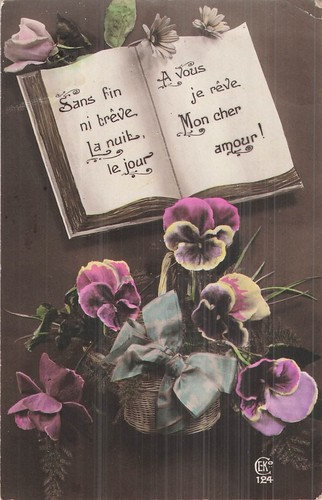 Livre ouvert panier - livre,