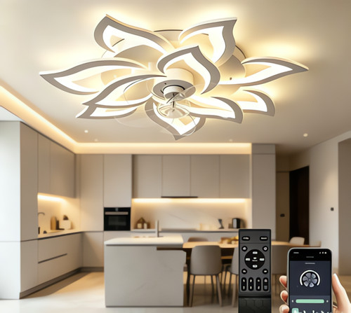 Ventilateur-plafonnier