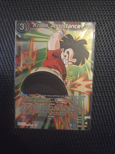 Krillin assistance bt29 010 - krillin,