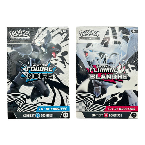 Pokémon duo 2x - 🇫🇷,