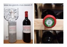 5 + 1 OFFERTE - Château