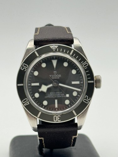 Tudor black bay 79010sg - bay,
