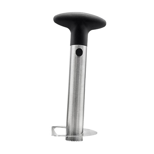 Ananas corer outil cuisine - ananas,
