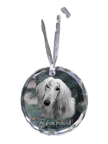 Lévrier afghans collier - lévrier, en