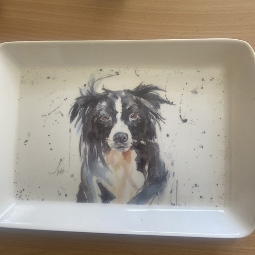 Plateau border collie - collie, 23