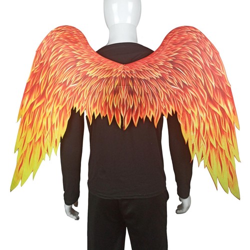 Costume ailes ange pour - d'ange,