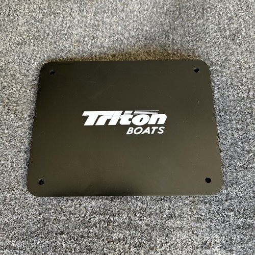 Bass boat triton - bass,