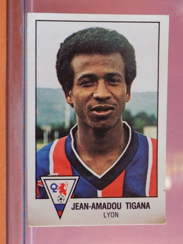 Rookie vignette panini - rookie,