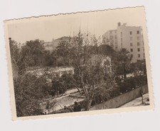 ? Photo ancienne ? Menton ? Jardin Biovès vu d'une chambre 1960 ?