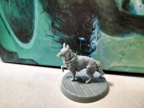 Chien miniature weird - , miniature/weird