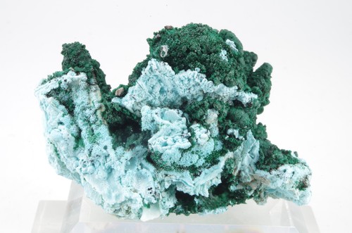 Chrysocolle malachite congo - chrysocolle, malachite,