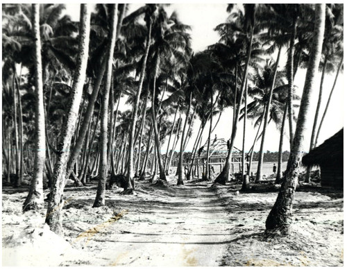 Atoll mururoa base - atoll,