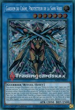 Yu-Gi-Oh! Gardien du Crâne, Protecteur de la Sans Voix : PSE MP25-FR055