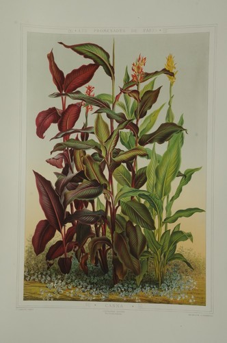 Lithographie couleur originale