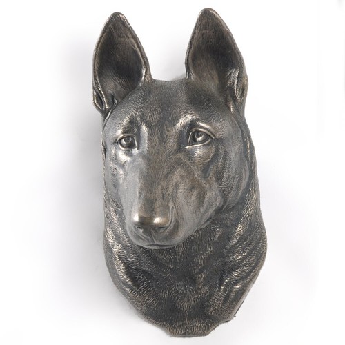 Malinois berger belge - malinois, tête